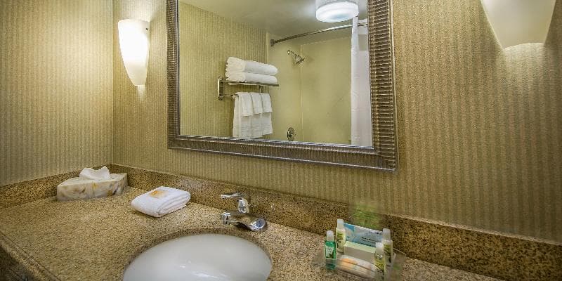 Holiday Inn Arlington At Ballston 5