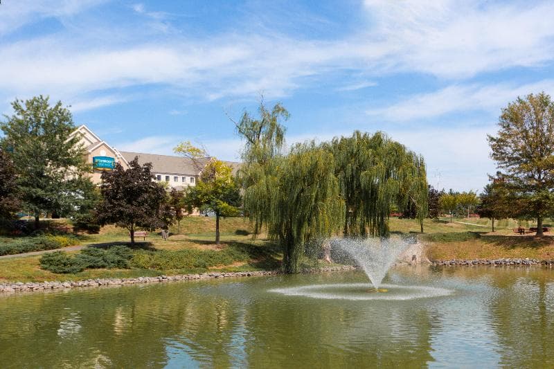 Staybridge Suites Chantilly - Fairfax photo 1