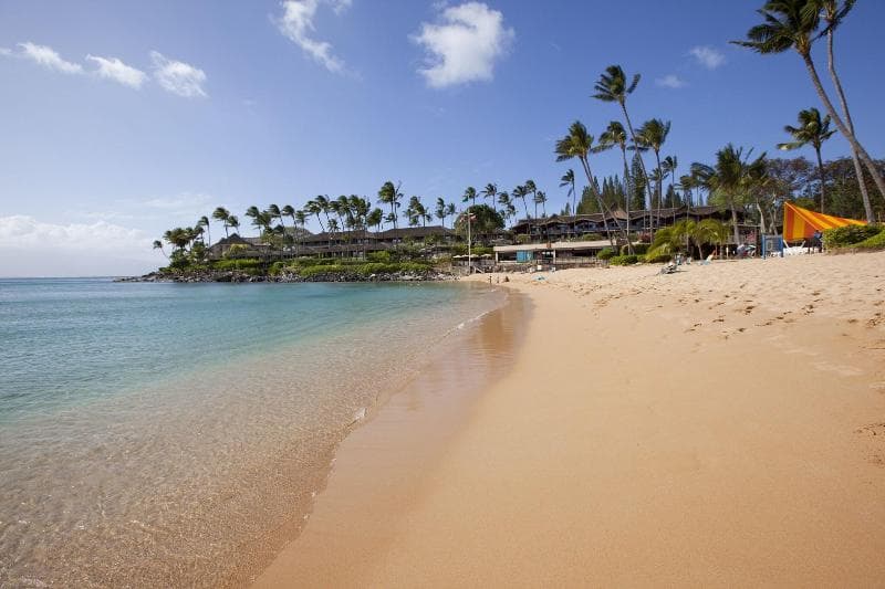 Napili Kai Beach Resort photo 1