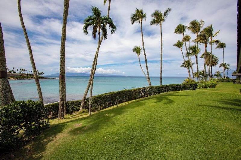 Napili Kai Beach Resort 5