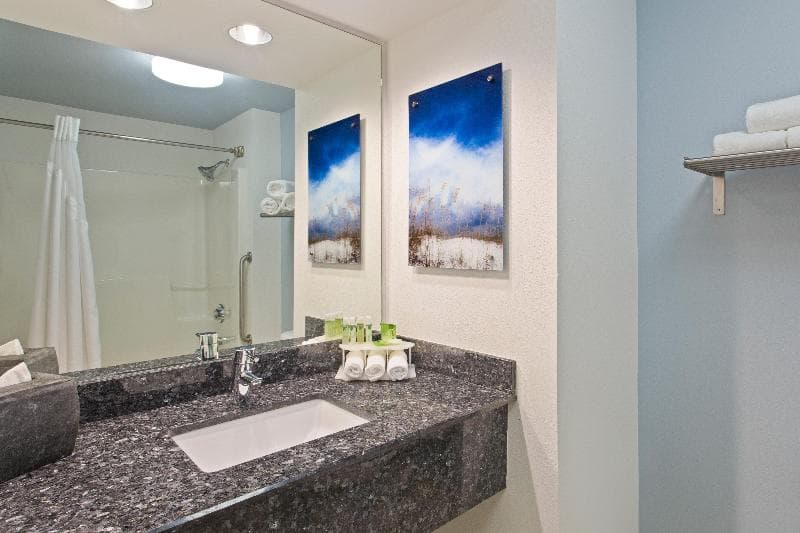 Holiday Inn Express & Suites Clearwater North/Dunedin 4