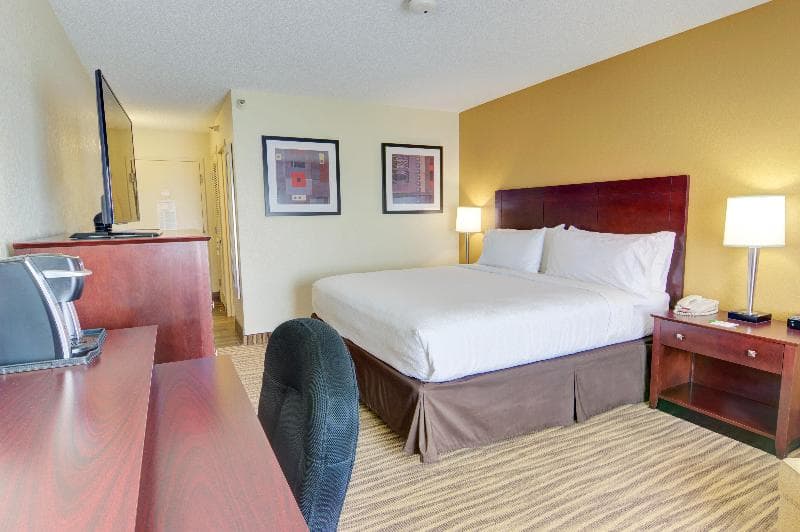Holiday Inn St. Petersburg North - Clearwater photo 1