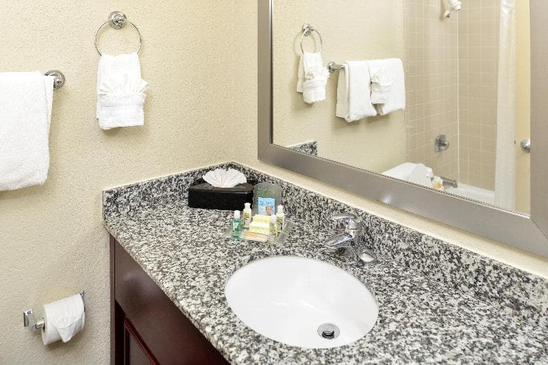 Holiday Inn St. Petersburg North - Clearwater 3