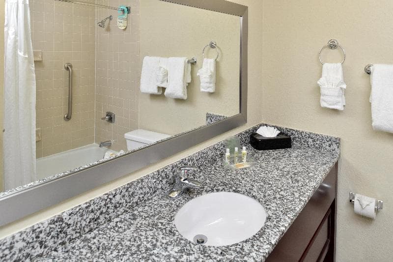Holiday Inn St. Petersburg North - Clearwater 4