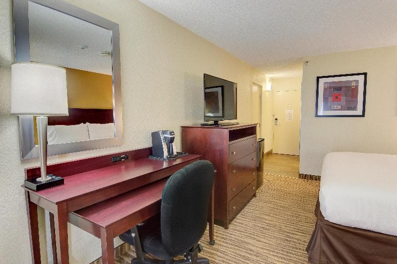 Holiday Inn St. Petersburg North - Clearwater 5