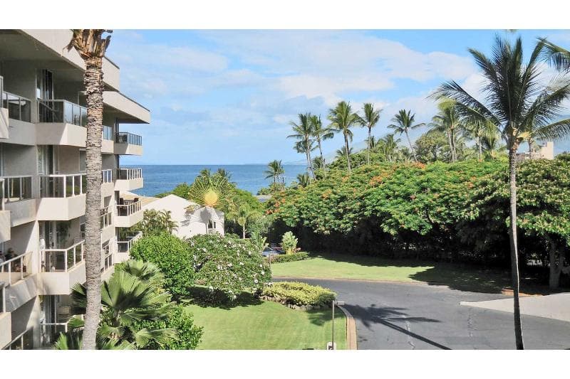 Aston at the Maui Banyan photo 1