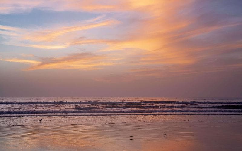 Best Western New Smyrna Beach Hotel & Suites 3