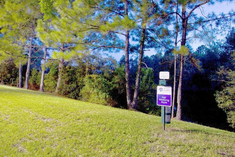 Candlewood Suites Jacksonville 5