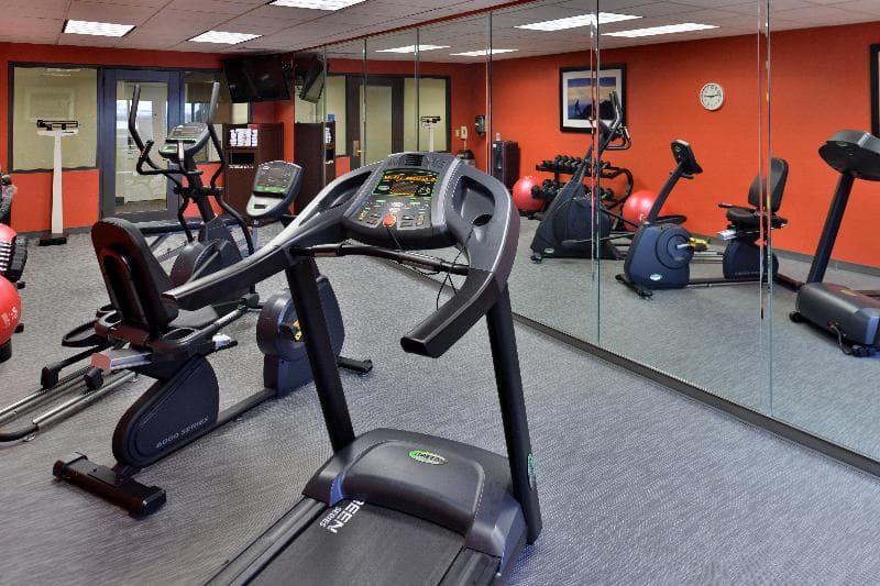 Holiday Inn Express & Suites Tampa Airport 5