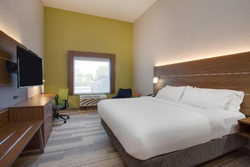 Holiday Inn Express & Suites Tampa-Fairgrounds-Casino 3