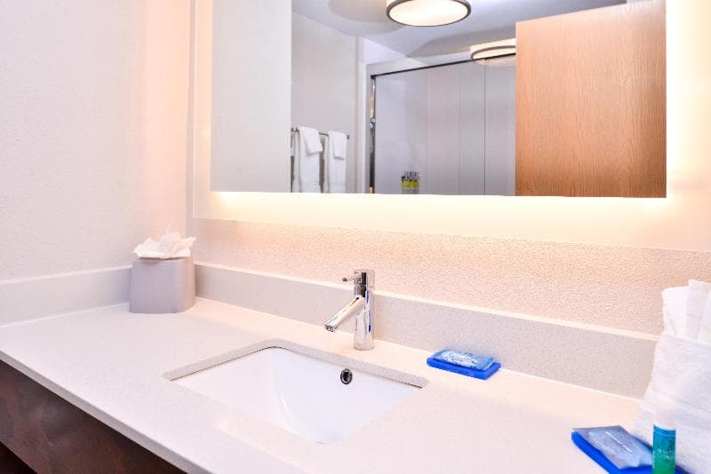 Holiday Inn Express & Suites Tampa-Anderson Rd/Veterans Exp 3