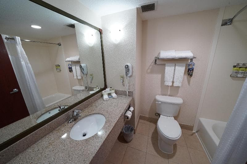 Holiday Inn Express & Suites Tampa Northwest-Oldsmar photo 1