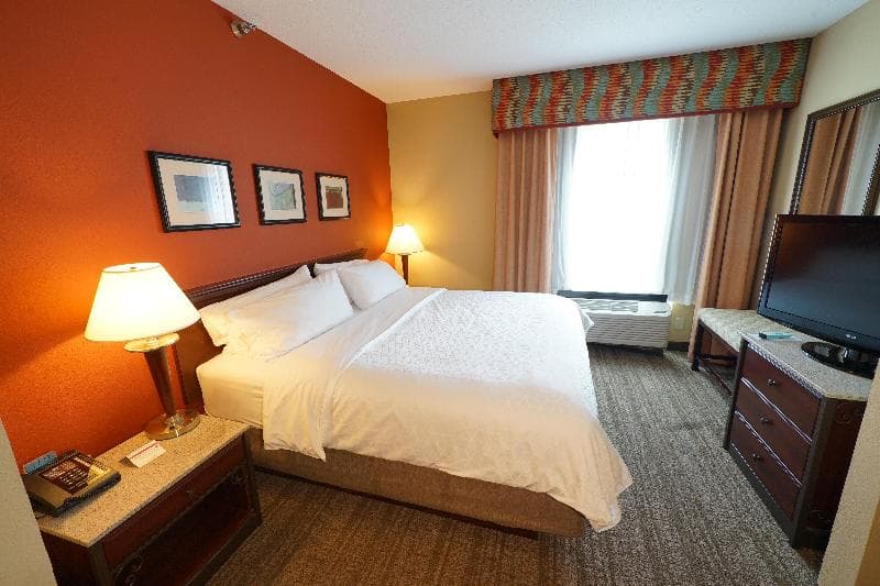 Holiday Inn Express & Suites Tampa Northwest-Oldsmar 4