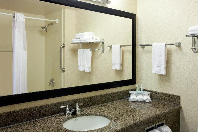 Holiday Inn Express San Francisco-Airport North 4
