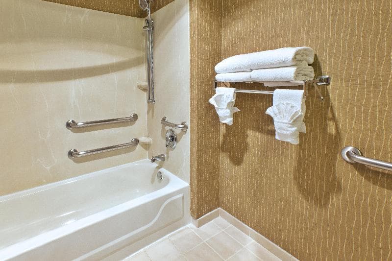 Holiday Inn Hotel & Suites Bolingbrook photo 1