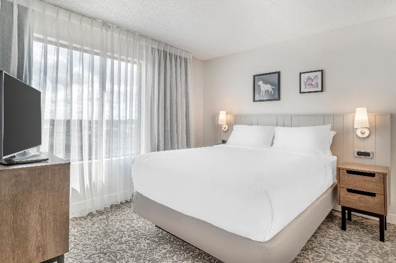 Sonesta ES Suites Sunnyvale 4
