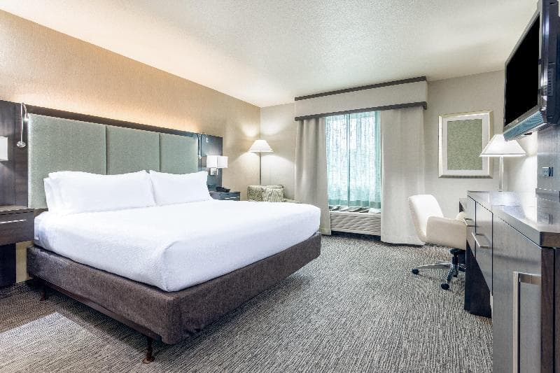 Holiday Inn Auburn 4