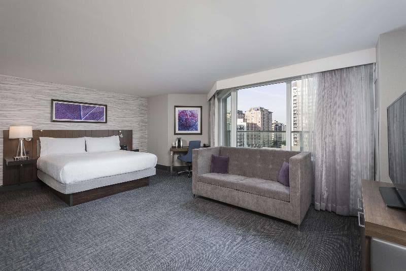 Hilton Garden Inn Ottawa Downtown 4
