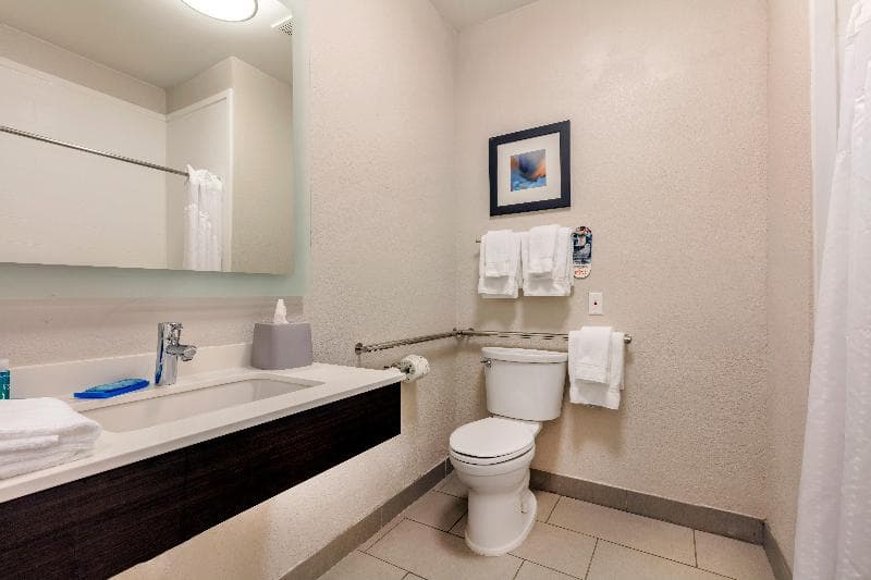 Holiday Inn Express Metropolis 5