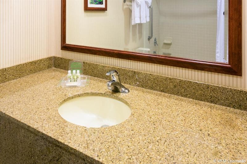 Holiday Inn Santa Ana-Orange Co. Arpt photo 1