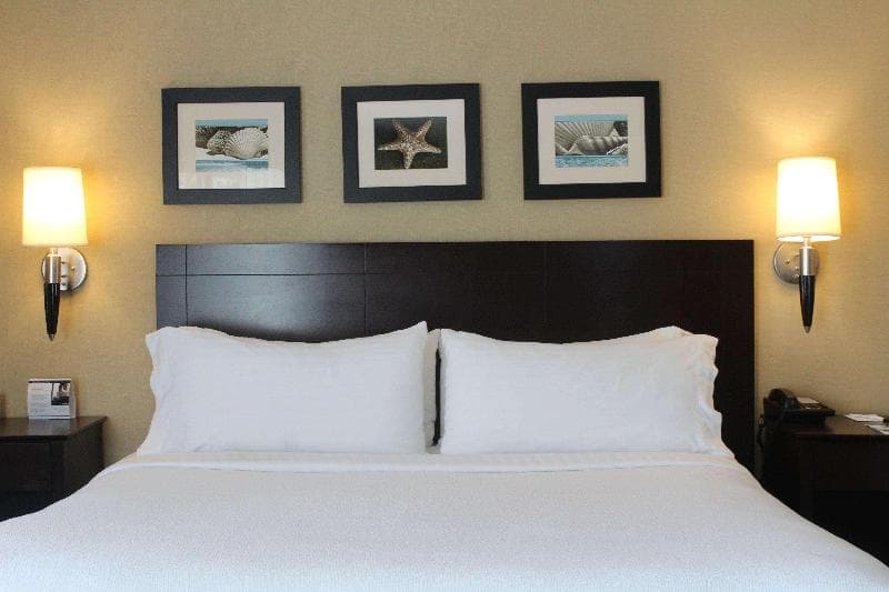 The Volare, An Ascend Hotel Collection Member 3