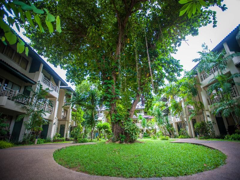 Natural Park Resort 5