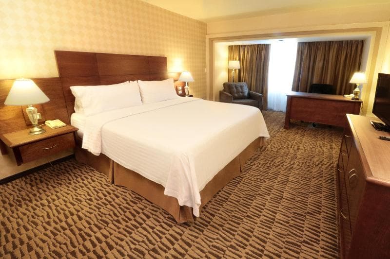 Holiday Inn Monterrey Norte 4