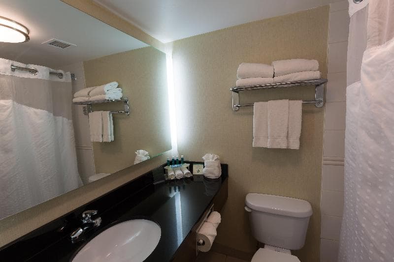 Holiday Inn Express Edmonton Downtown 4