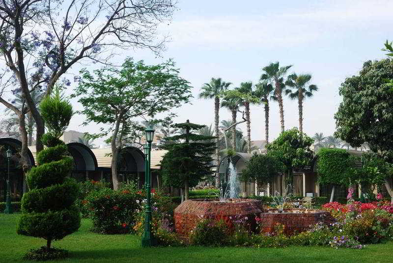 Pyramids Resort by Jaz 4