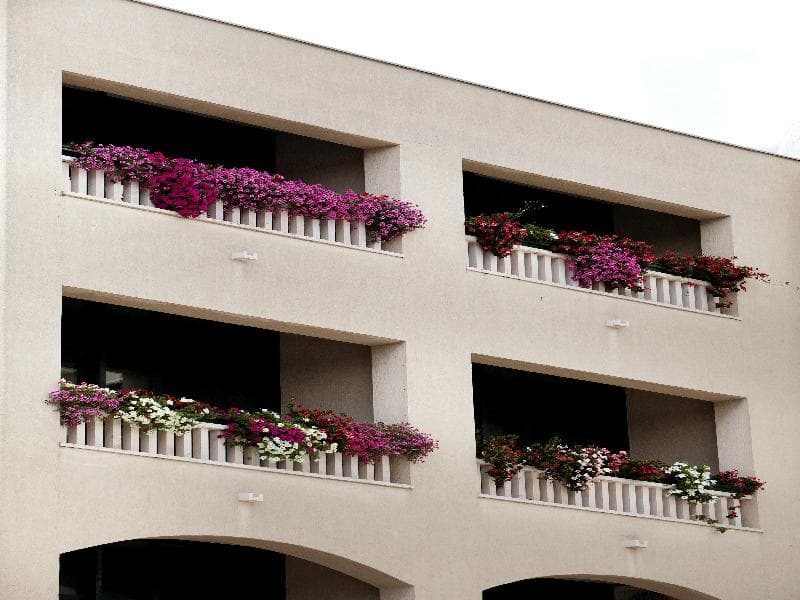 Aparthotel Bellevue photo 1