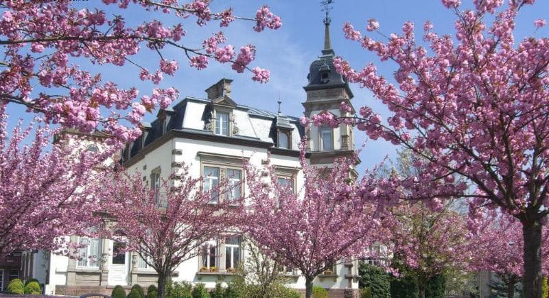 Château De L’Ile & Spa 3