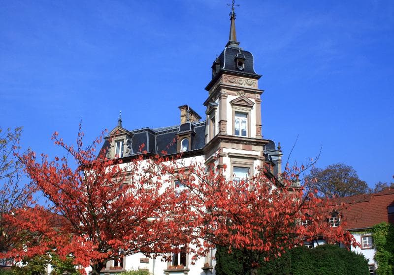 Château De L’Ile & Spa 4