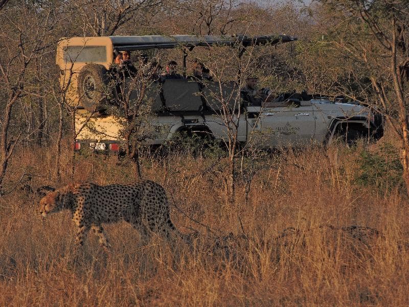 Hamiltons Tented Camp 1