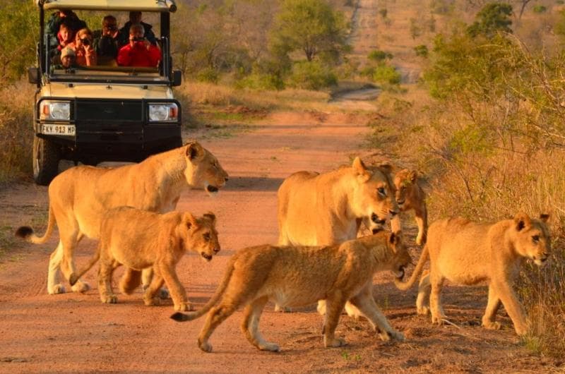 Hoyo Hoyo Safari Lodge photo 1