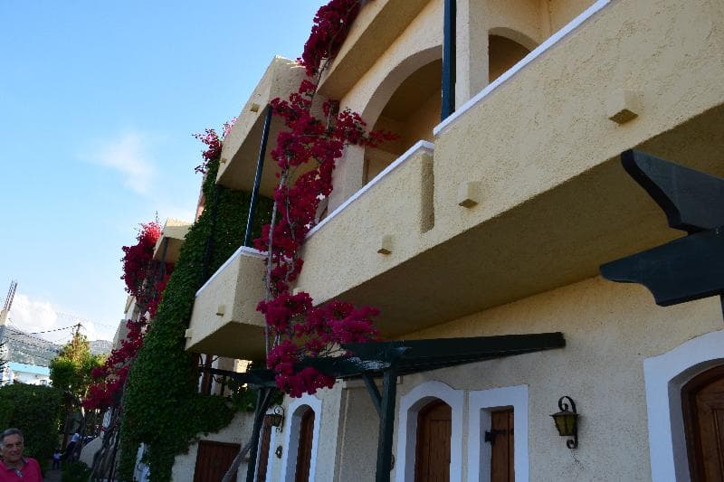 Malia Studios Apartments(Malia) 4