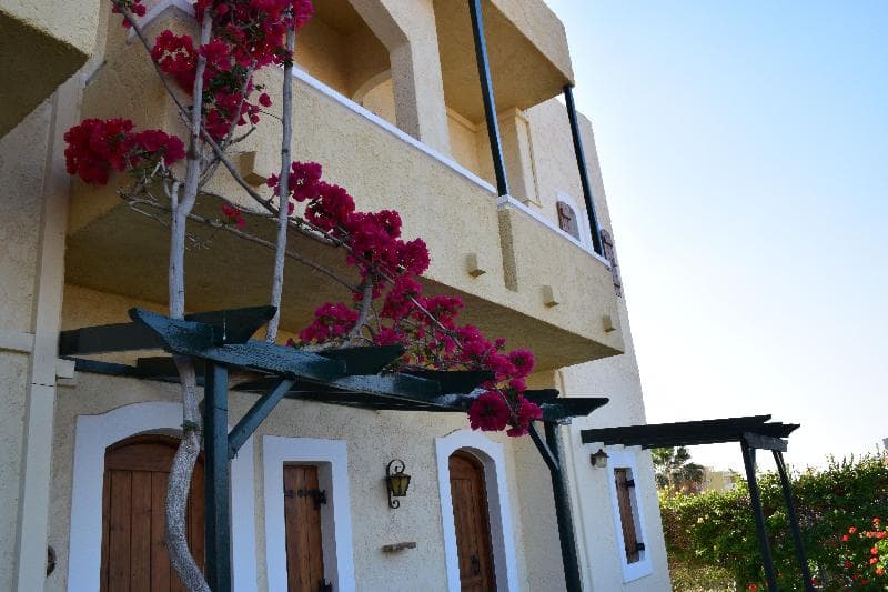 Malia Studios Apartments(Malia) 5