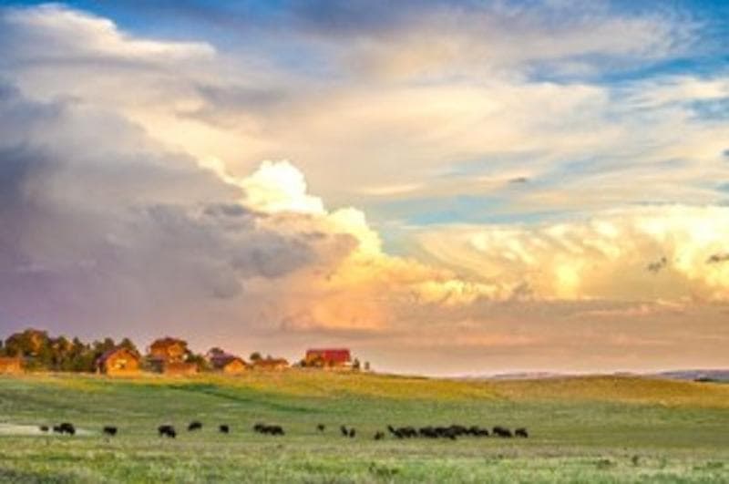 Zion Mountain Ranch 2
