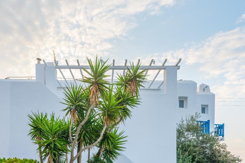 Vienoula's Garden 4