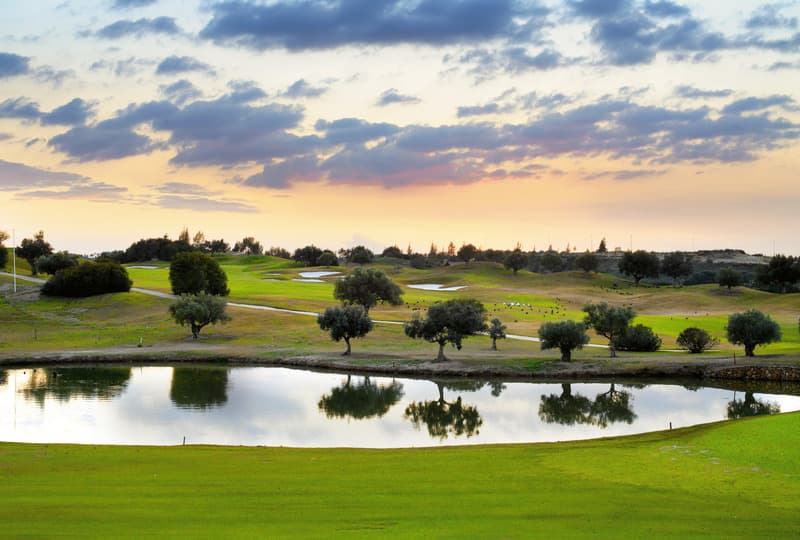 Barceló Montecastillo Golf 5