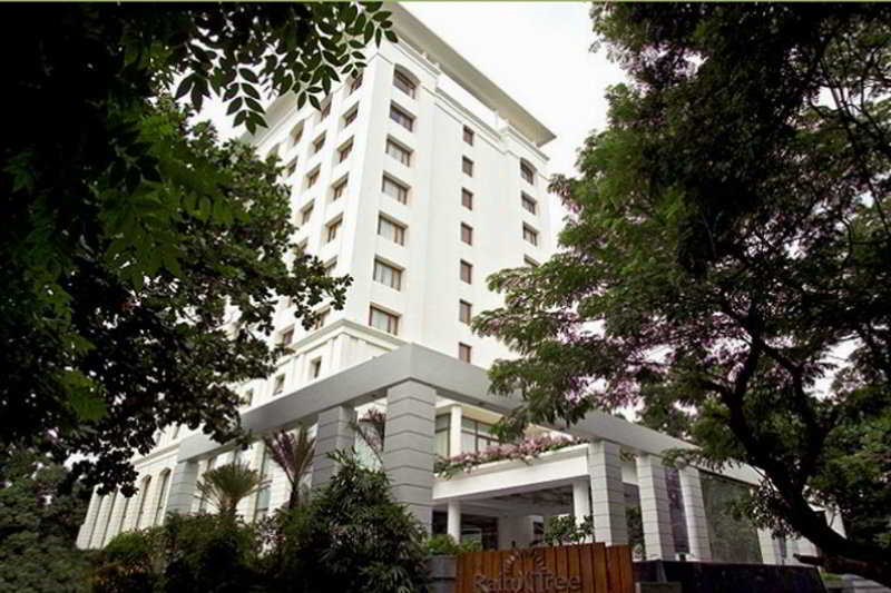 The Raintree Hotel photo 1