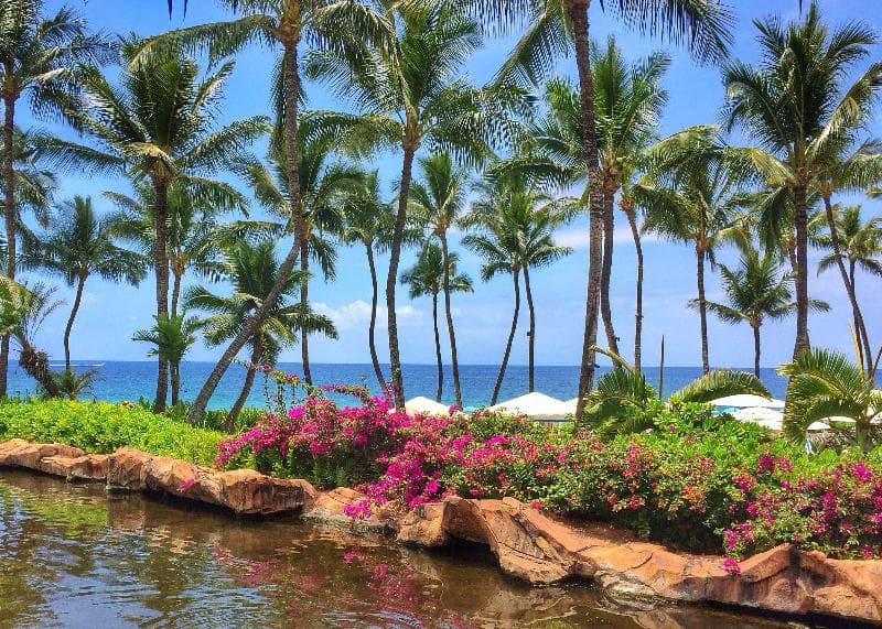Grand Wailea, A Waldorf Astoria Resort 2