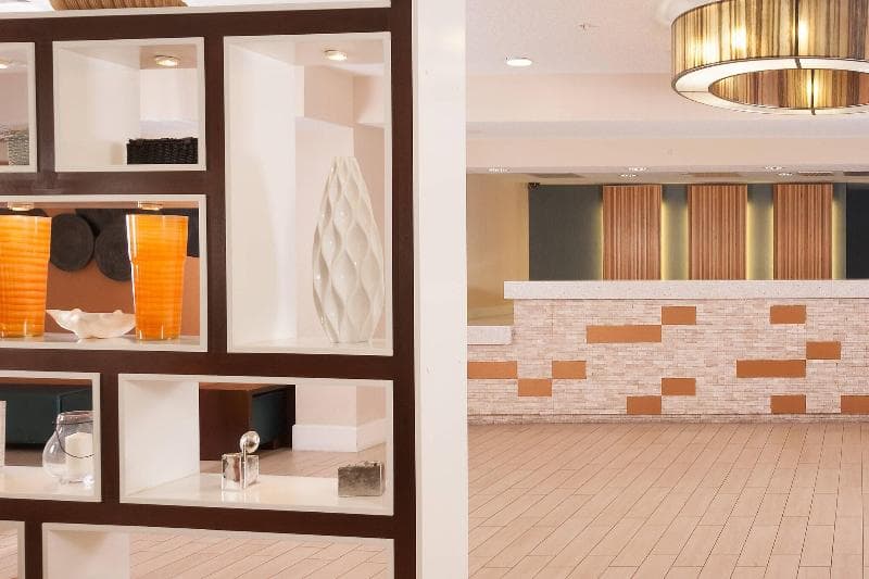 Residence Inn By Marriott Orlando Convention Cente 4