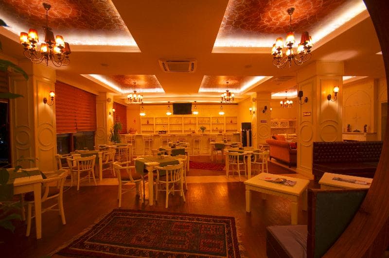 My Dream Hotel 4