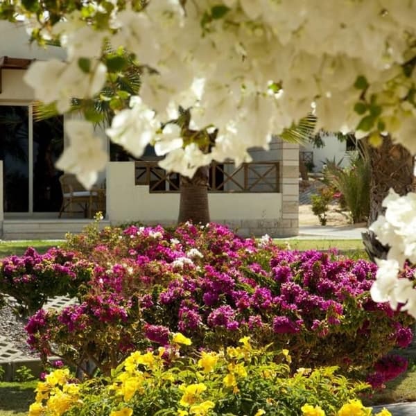 Hurghada Coral Beach Hotel 4
