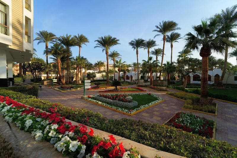 Zya Regina Resort & Aqua Park 4