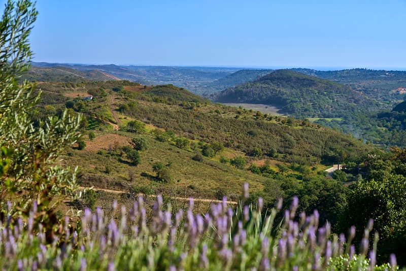 Hotel Rural Quinta Do Marco 4