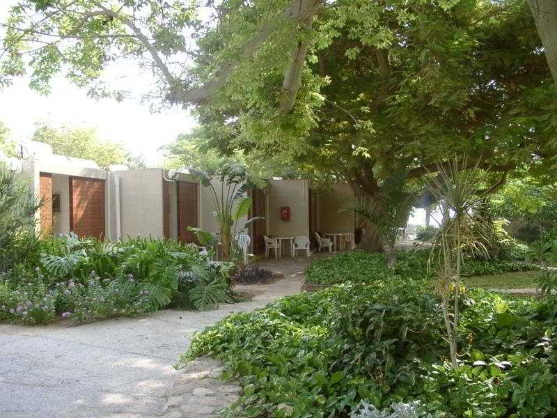 Kibbutz Ein Gedi 2