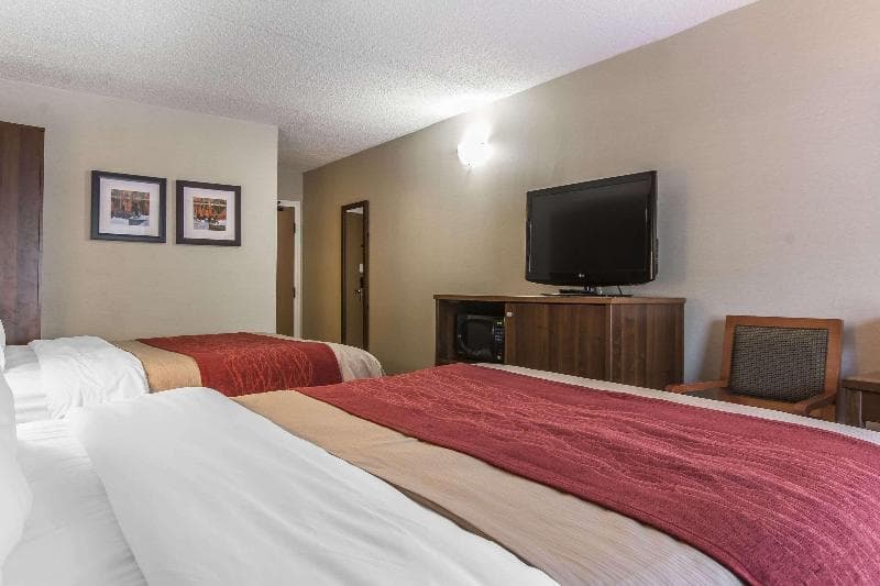Comfort Inn 3