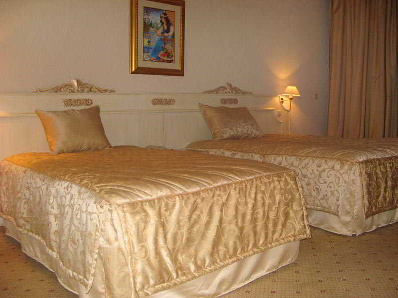 Amir Palace 4