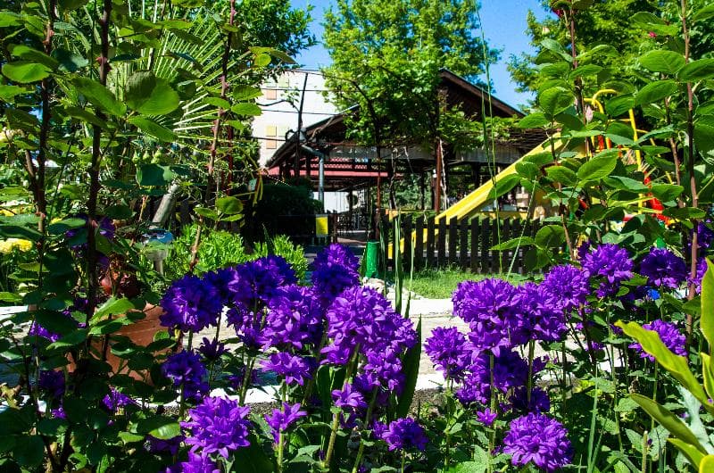 Trakia Garden Hotel photo 1